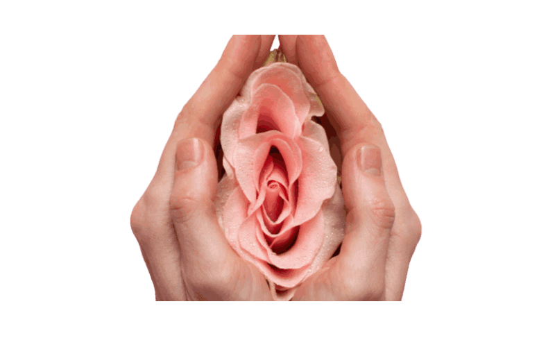 Vaginal Tightening & Intimate Wellness